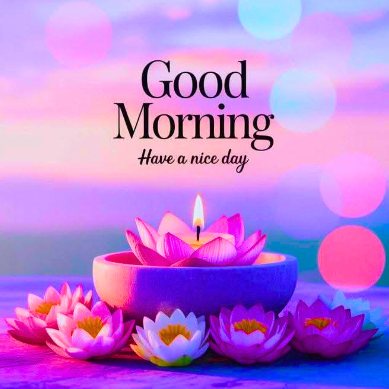 Good Morning Pic, Images, Photos, Wishes & Quotes 2026