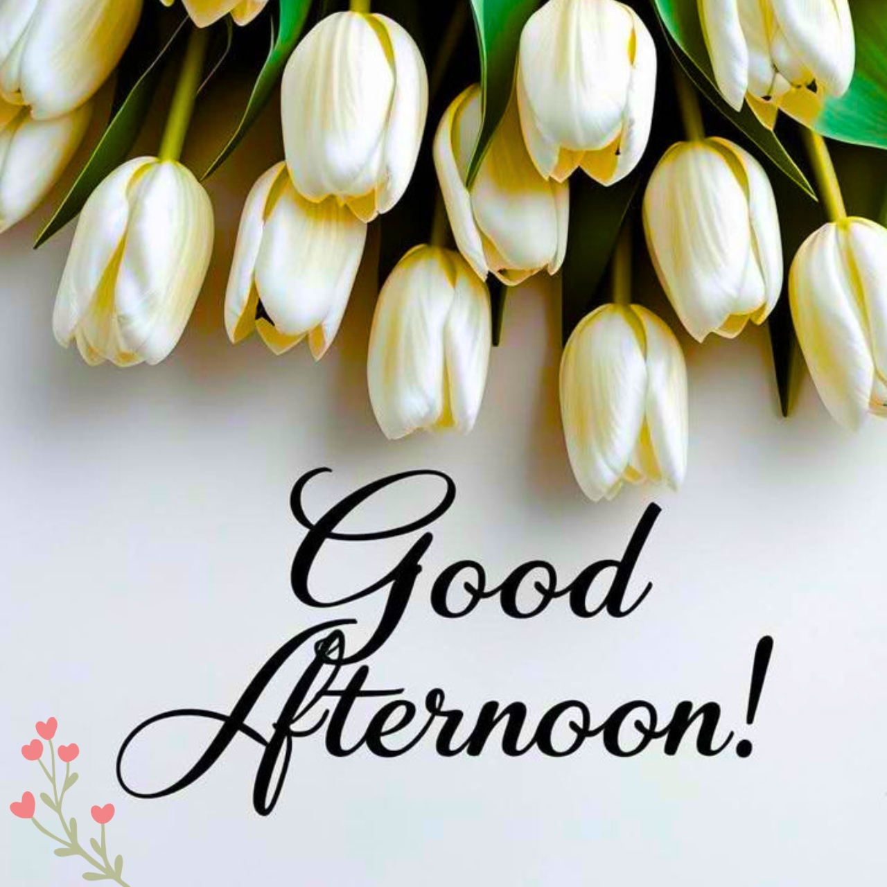 Good Afternoon Images & Pic for WhatsApp - April 2026